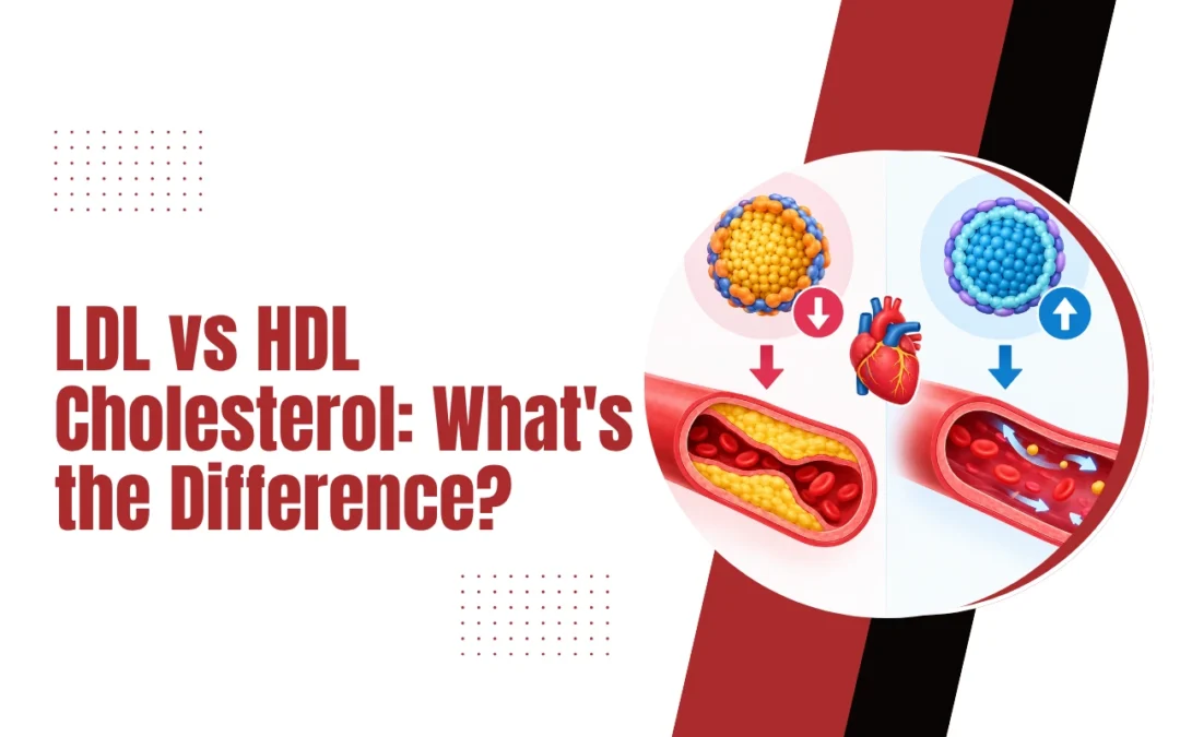 LDL vs HDL Cholesterol: What’s the Difference?