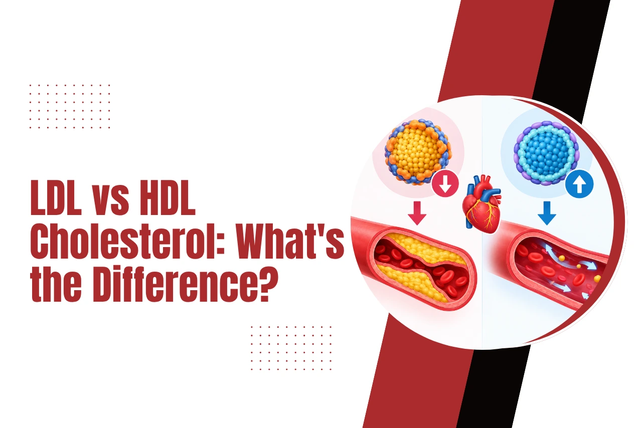 LDL vs HDL Cholesterol: What’s the Difference? LDL vs HDL Cholesterol: What's the Difference?